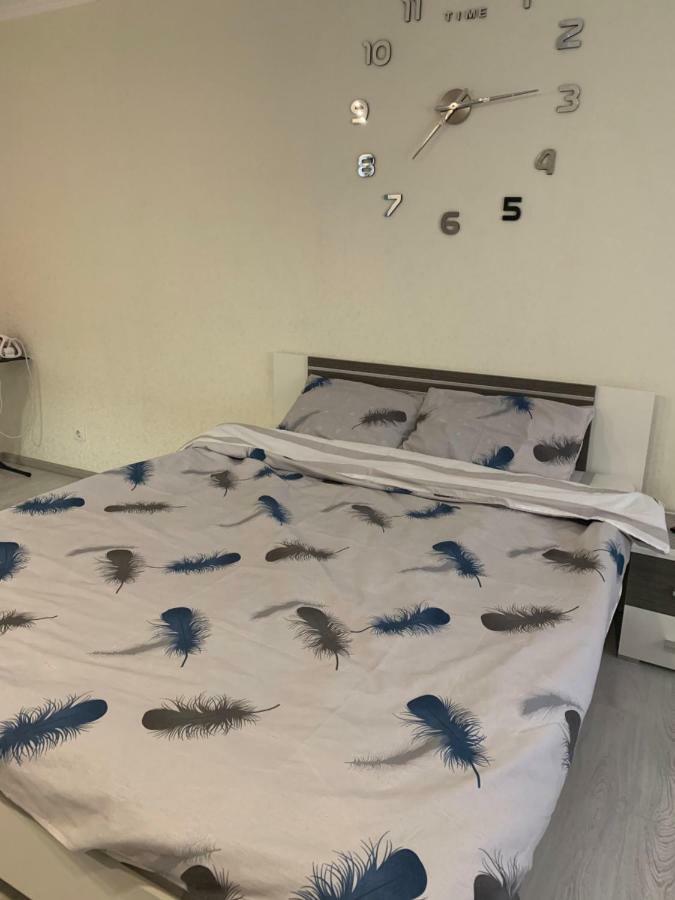 Apartments On Priportovaya,35 チェルカースィ エクステリア 写真